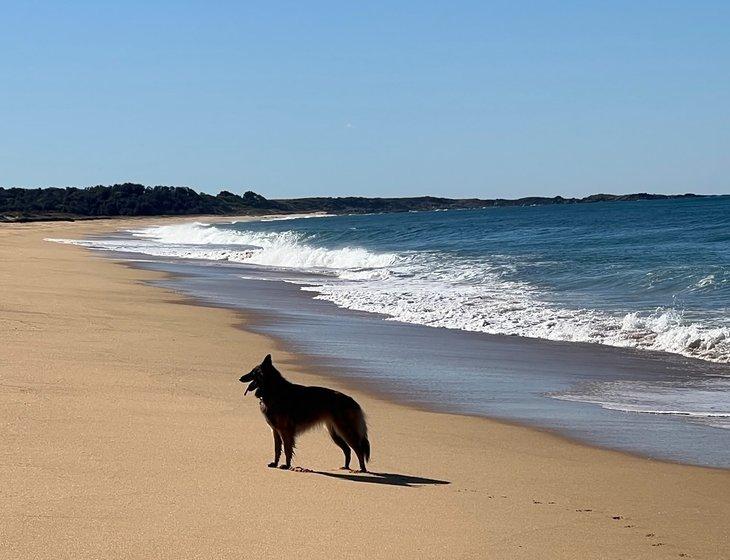 Tuross Head, New South Wales