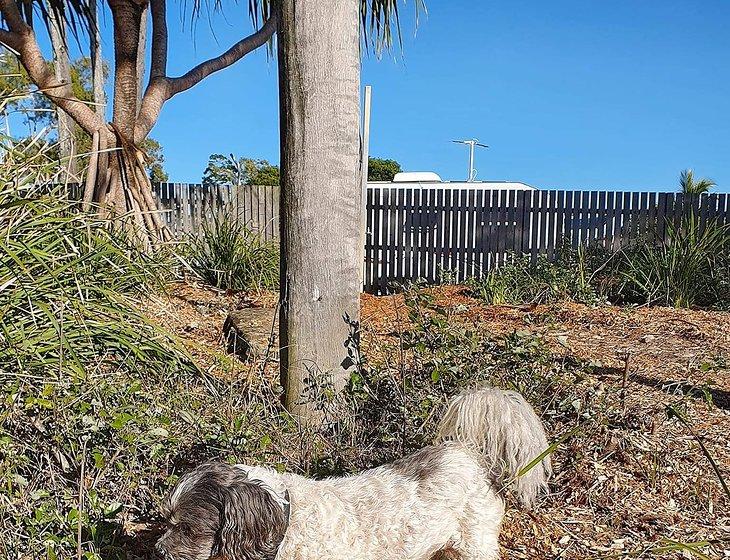 Hervey Bay, Queensland