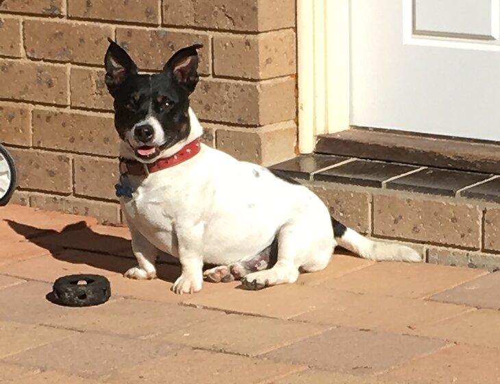 Theodore, Australian Capital Territory