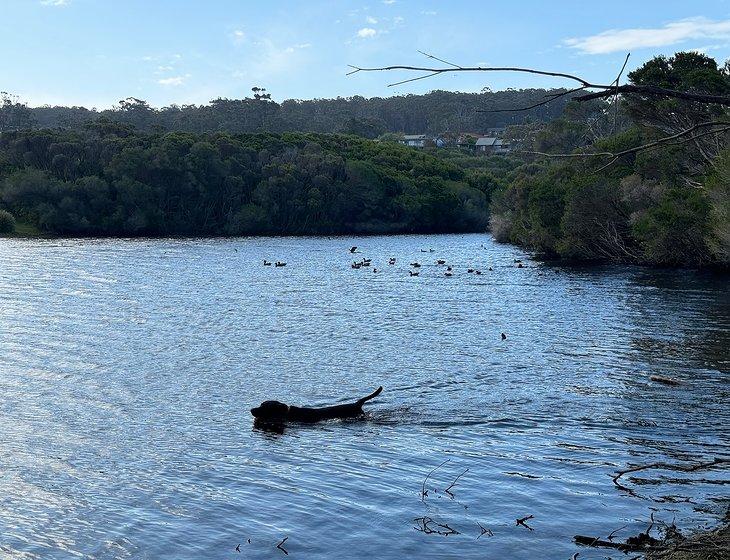 Tura Beach, New South Wales