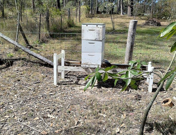 South Bingera, Queensland