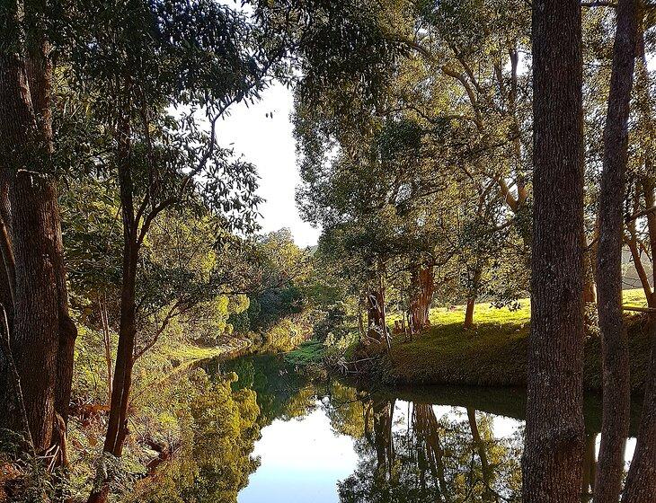 Burringbar, New South Wales