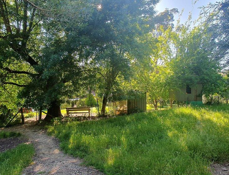 Scott Creek (stirling), South Australia