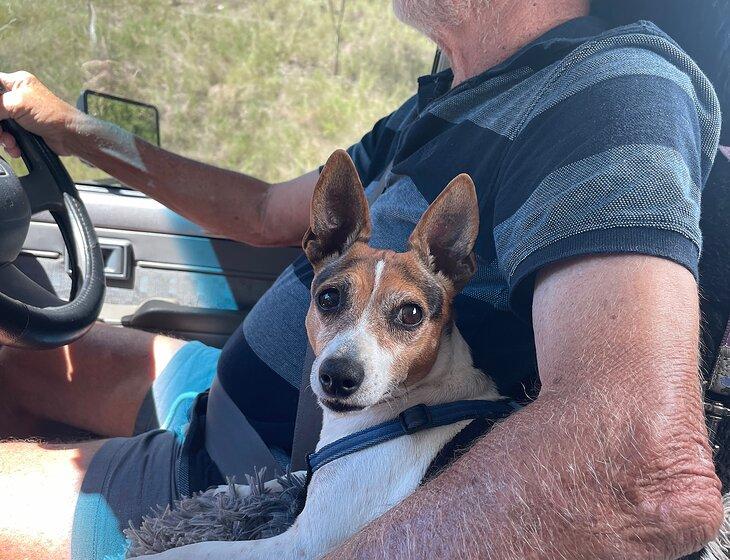 Diddillibah, Queensland