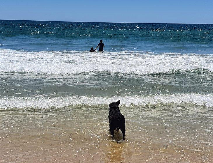 Bilinga, Queensland