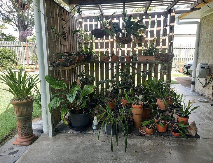 Hervey Bay, Queensland