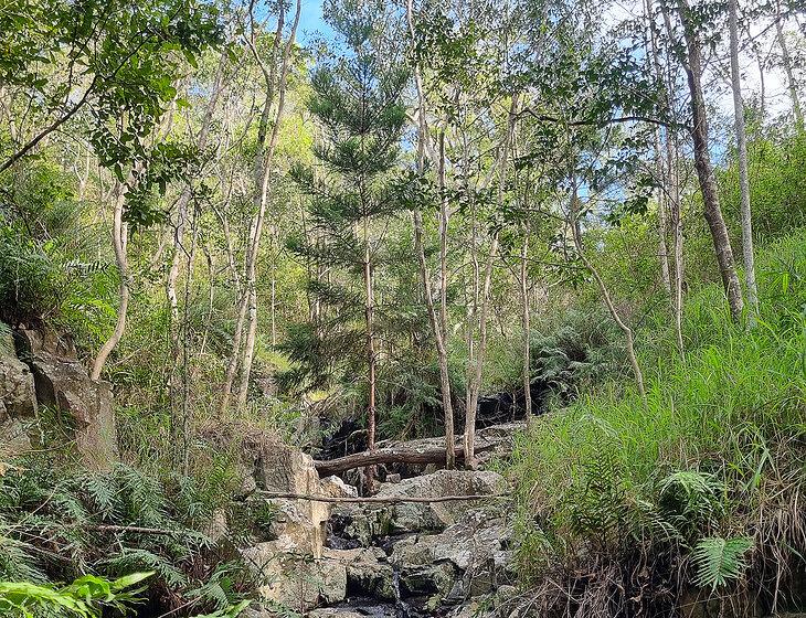 Coal Creek, Queensland