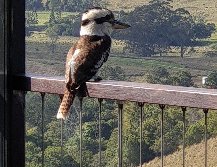 Pinbarren, Queensland