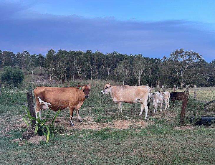 Mungar, Queensland