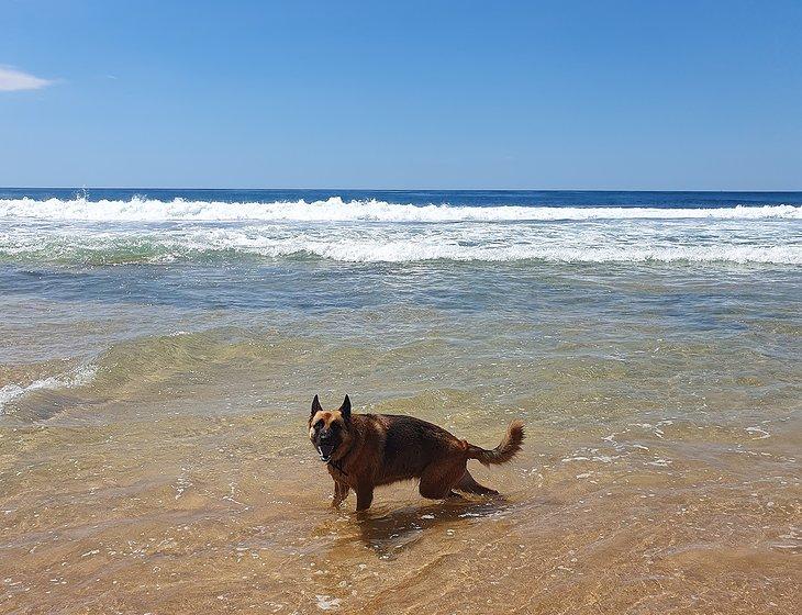 Chittaway Point, New South Wales