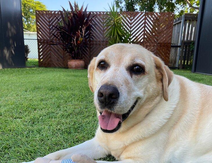 Zillmere, Queensland