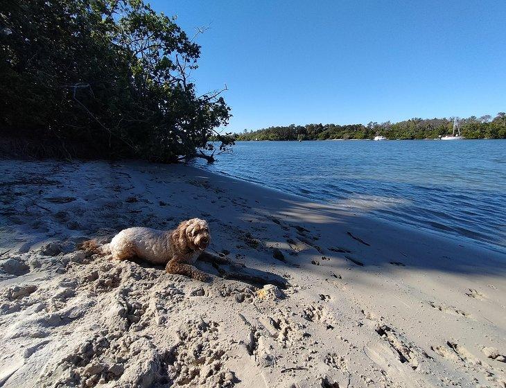 Tweed Heads South, New South Wales