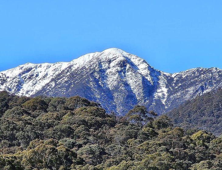 Mansfield, Victoria