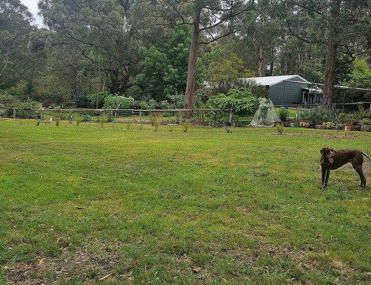 Bruthen, Victoria