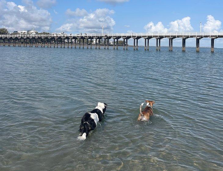 Urangan, Queensland