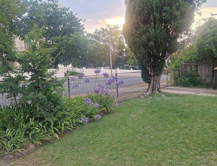 Bega, New South Wales - Image 4