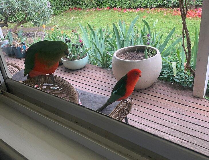 Macedon, Victoria