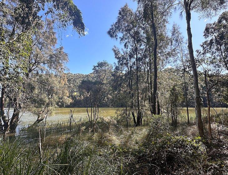 North Avoca, New South Wales