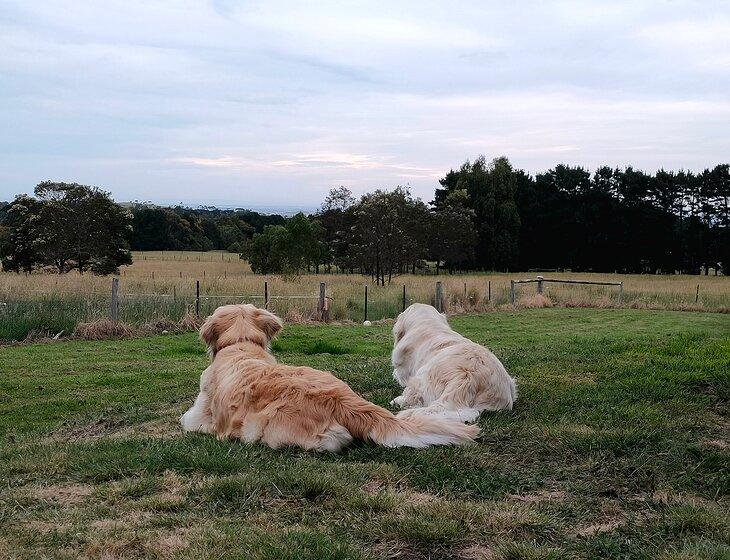 Gisborne South, Victoria