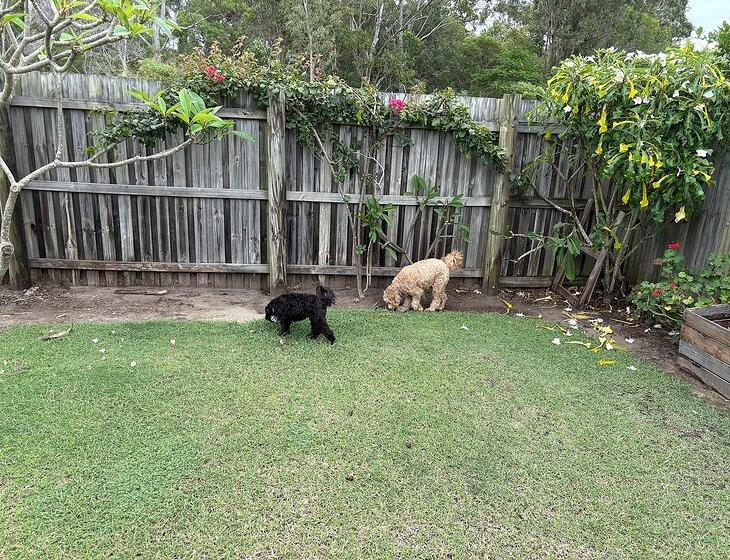 Urangan, Queensland