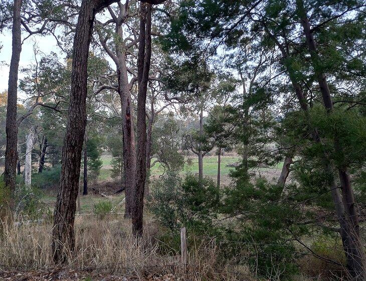 Harvey, Western Australia