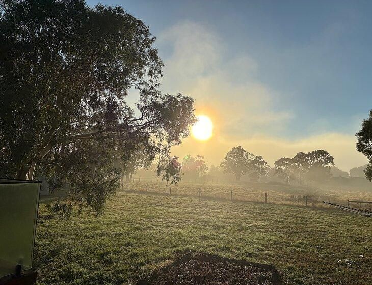 Napoleons, Victoria