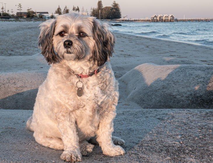 Busselton, Western Australia