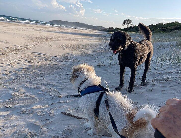Lismore, New South Wales