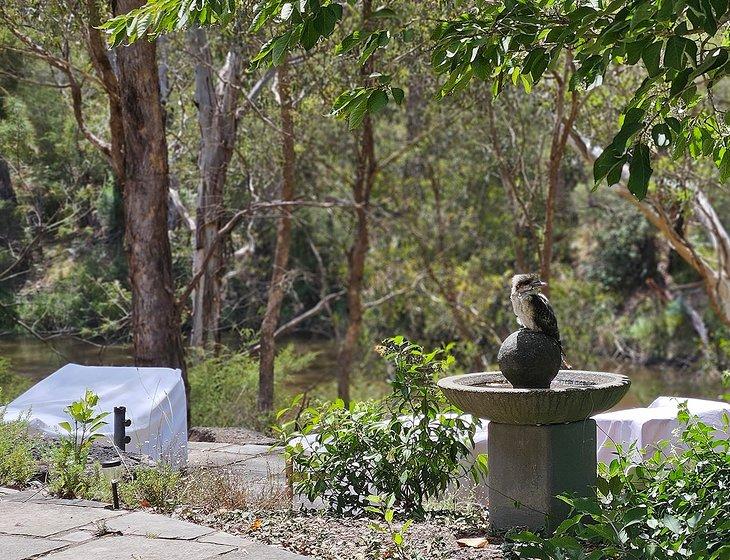 Kangaroo Ground, Victoria