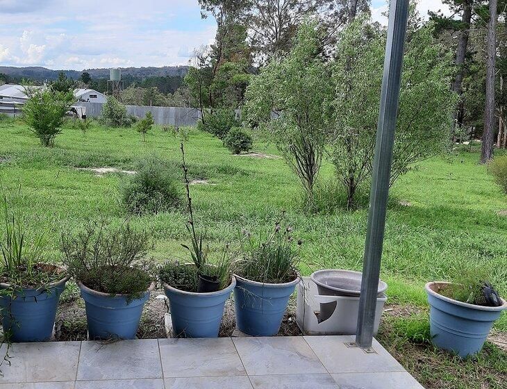 Stanthorpe, Queensland - Image 5