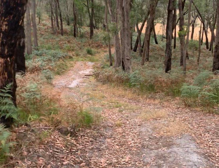 Barwon Downs, Victoria