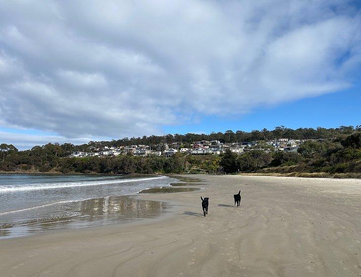 Primrose Sands, Tasmania