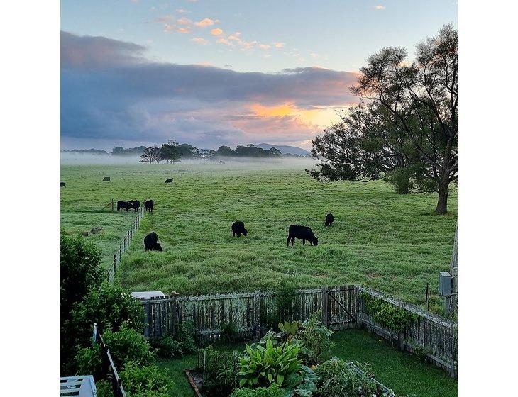 Summer Island, New South Wales