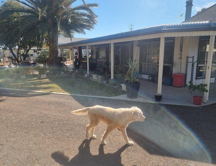 Quorn, South Australia