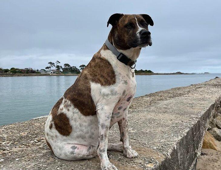 Ulverstone, Tasmania