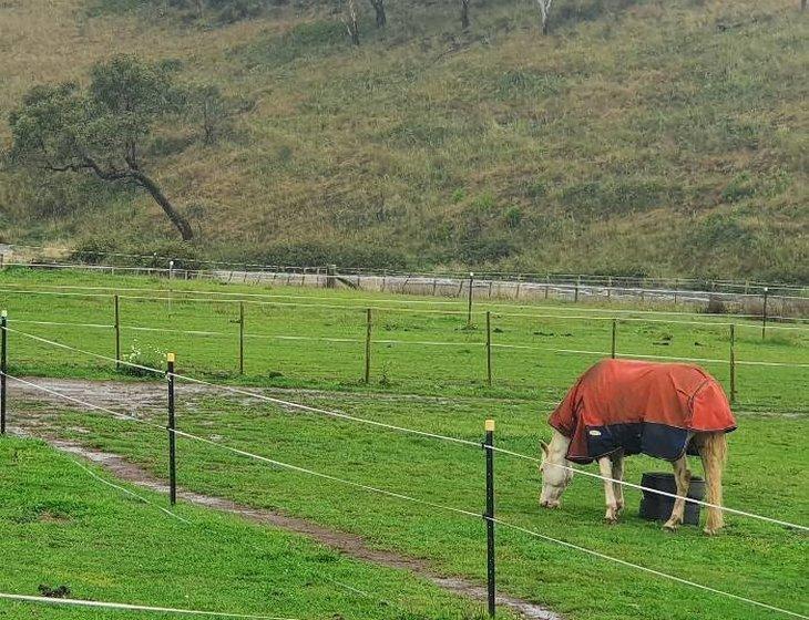 Falconer, New South Wales