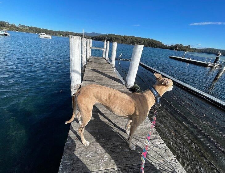 Narooma, New South Wales - Image 2