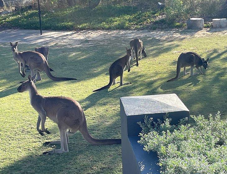 Stake Hill, Western Australia