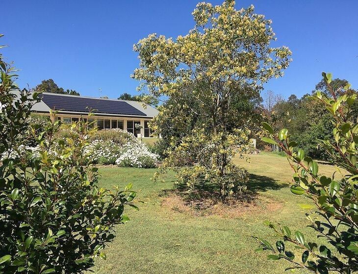Bolwarra Heights, New South Wales - Image 3