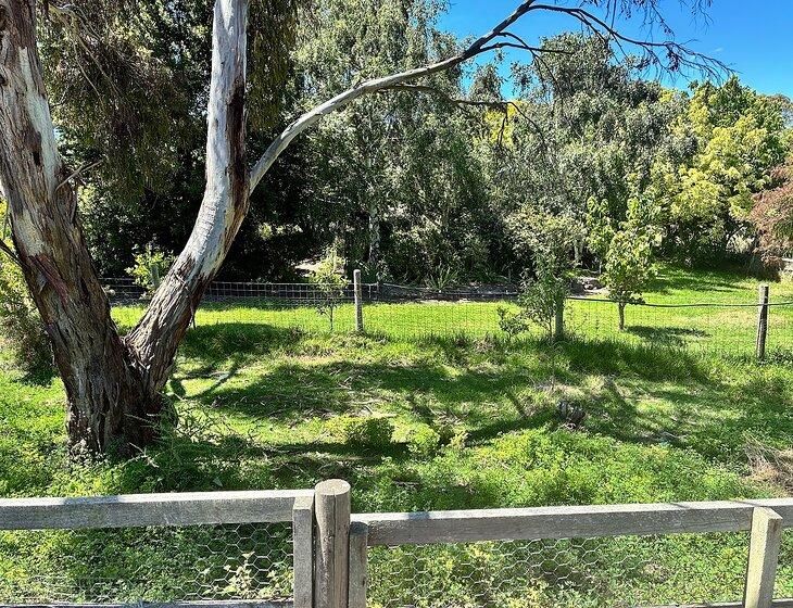 Birdwood, South Australia - Image 3