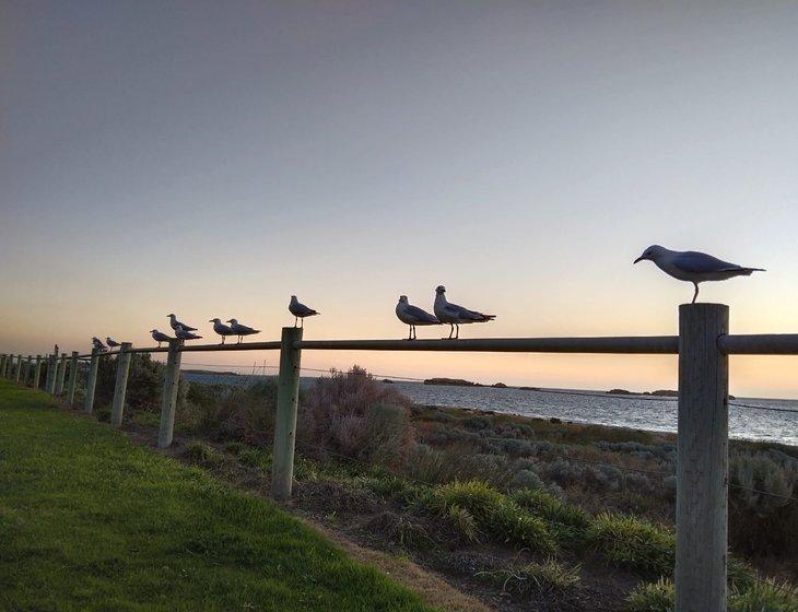 Shoalwater Bay, Western Australia