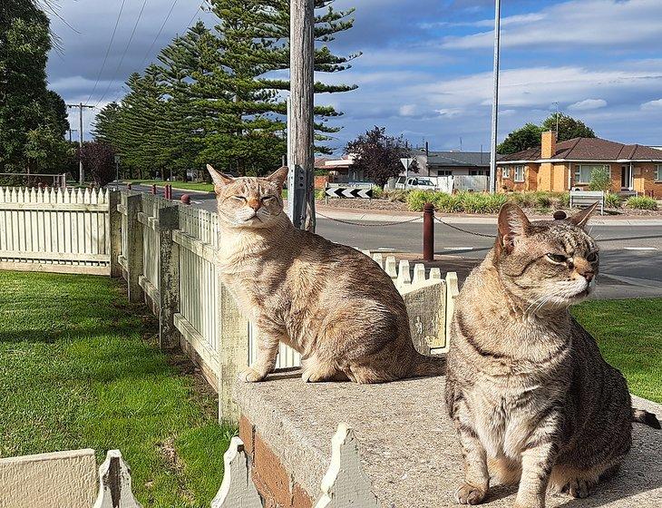 Bairnsdale, Victoria