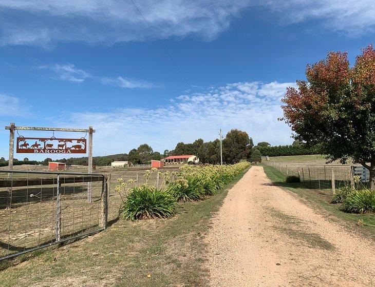 Whittlesea, Victoria