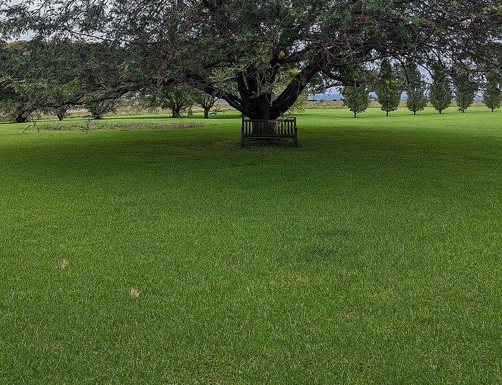 Willow Tree, New South Wales