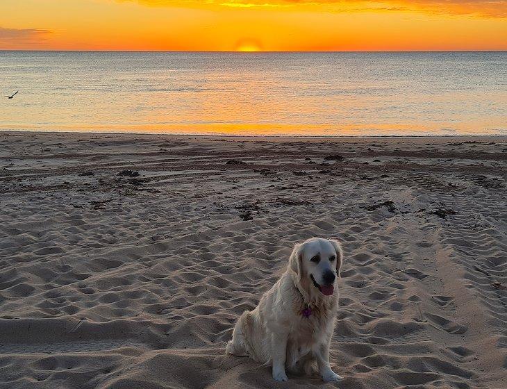 Dawesville, Western Australia