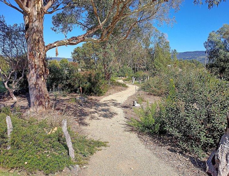 Milton, New South Wales