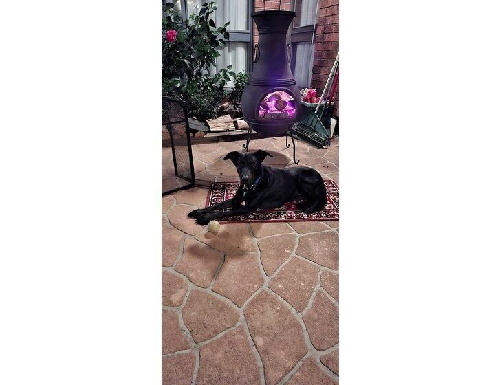 Pakenham, Victoria - Image 8