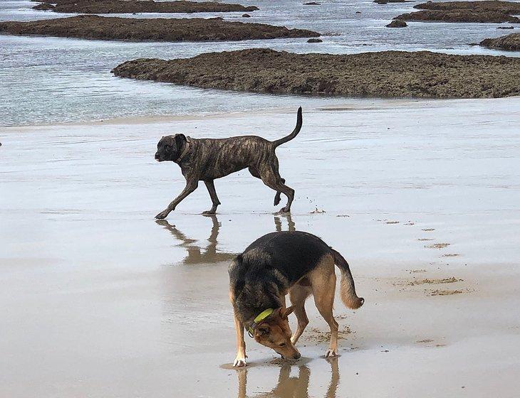 Oak Beach, Queensland