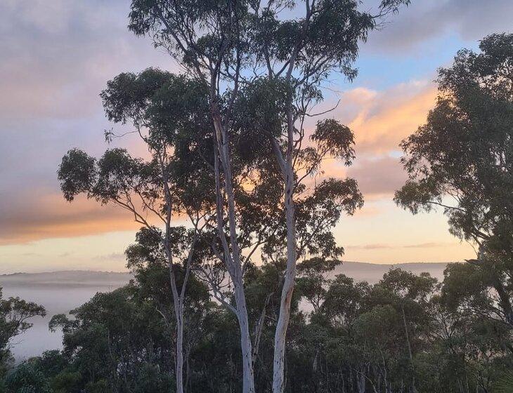 Lower Chittering, Western Australia