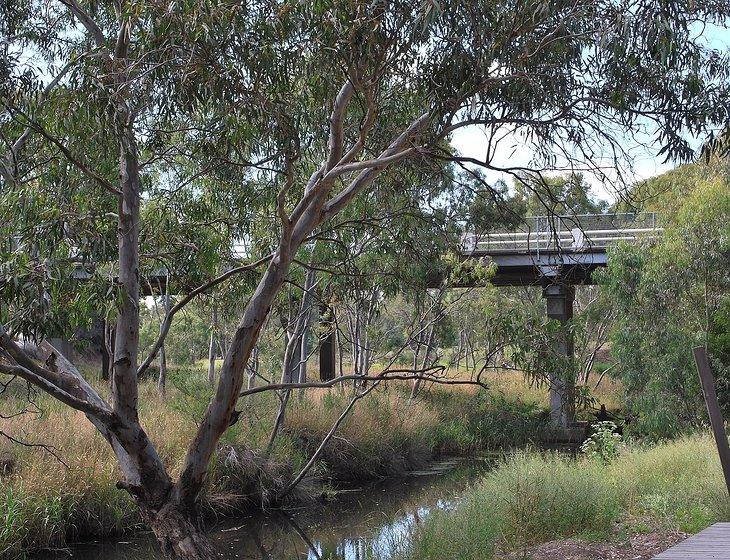 Shelford, Victoria